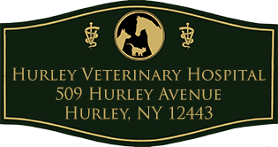 Hurley Veterinary Hospital